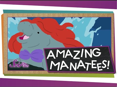 Why Sea Cows Are Awesome | Animal Science for Kids