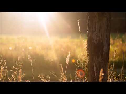 Sunlight Project - Brighter Days