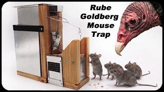 Mechanical GENIUS Mouse Trap Feeds The Wildlife! | Mousetrap Monday