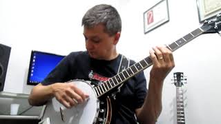 Video thumbnail for Banjo Strinberg WB50 by Roberson Conti