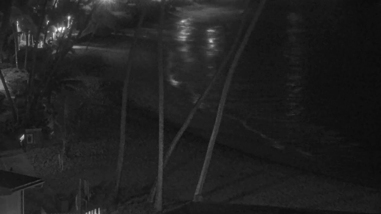 Live webcam view of Webcam de la Playa de Napili Kai
