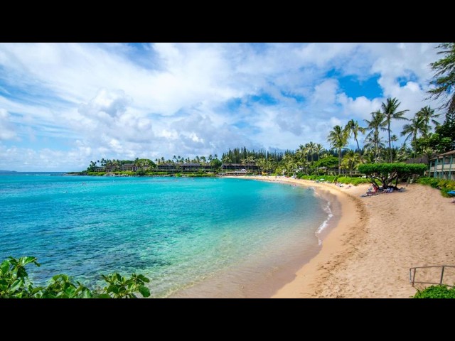 マウイ島 ナピリ・ベイ・ビーチ @Napili Kai Beach Resort