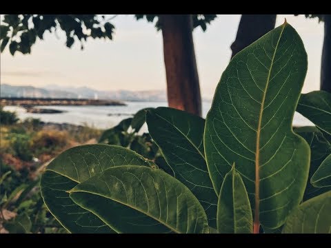 Lungomare di Riposto Giarre ammirando la costa del mar ionio in Sicilia #riposto #giarre