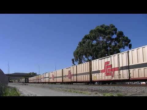 CF4403 and SCT003 on 5MP9 freight Bellevue