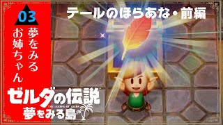 【ゼルダの伝説夢をみる島】リンクに恋したお姉ちゃんの 実況プレイ part3【女性実況/姉妹実況】
