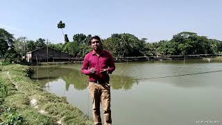 ভিয়েতনামি হোয়াইট পাঙ্গাস চাষ