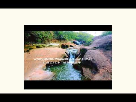 FAZENDA  GENERAL CARNEIRO MT