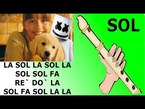 Happier, flauta dulce fácil, tutorial con animación, easy flute recorder