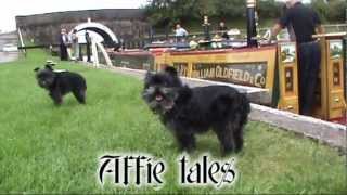 Affie tales Episode 3 trailer Blackburn to Chorley on the Leeds Liverpool Canal.wmv