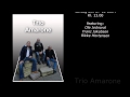 Trio Amarone