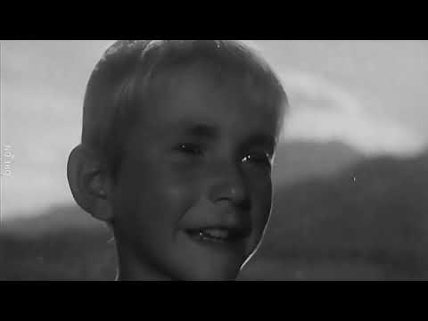 Decades in Red White Red - The 1940s: Trauma and Hope (ORF)