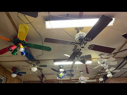 Happy #NCFD! (Ceiling Fan Display 9)