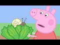 Peppa Meets A Snail Peppa Pig Full Episodes