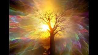 Stars - Grace Potter &amp; the nocturnal - With lyrics - inspired by true life events