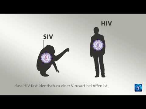 AIDS: Woher stammt HIV?