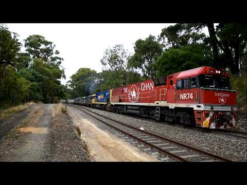 Pacific National Freight Train 6MP5 with NR74 in Red Ghan Livery with Camel logo NR2 G538 8121 G526