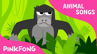 Jungle Boogie | Animal Songs | PINKFONG Songs for Children