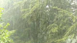 Zleí Paríthépaté - Just Another Rainy Day