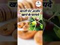 खाली पेट अंजीर खाने के फायदे Healthandbeautyexpert Hea