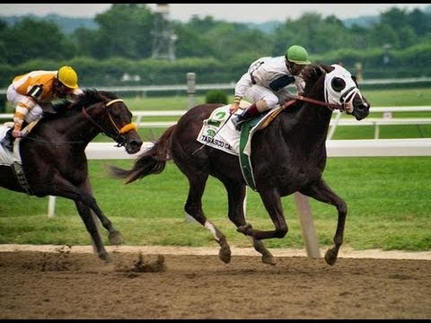 1994 Belmont Stakes - Tabasco Cat