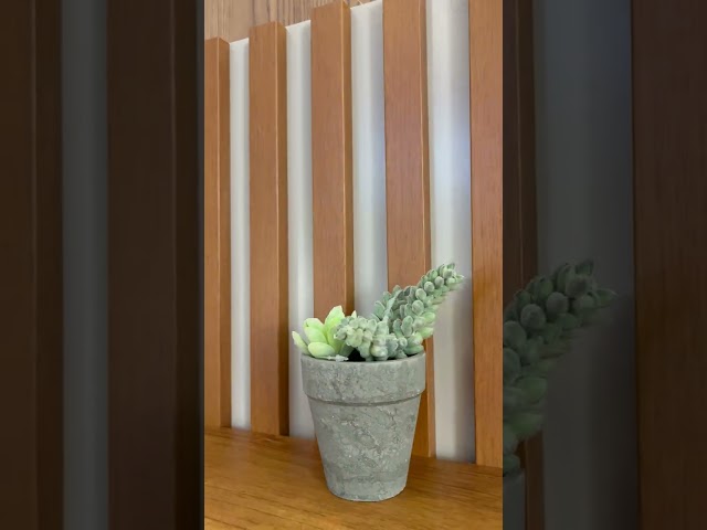 Painel para TV Até 65 Polegadas Dell 1 Porta 3 Prateleiras Ripado Mel - Viero Móveis