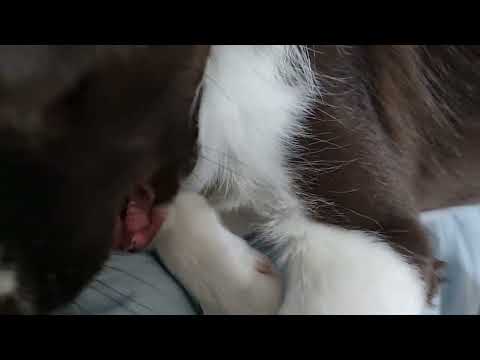 YouTube 썸네일