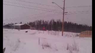 preview picture of video 'Windy in la ronge sask.'