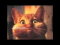 The Naming of Cats by T.S. Eliot 