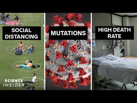 コロナウイルスについての2つの真実と嘘 (Two Truths And A Lie About The Coronavirus)