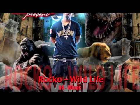 ROCKO   WILD LIFE   04   WINGS