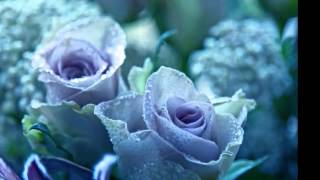 &quot;Coming Around Again&quot; Cover by Aileen69