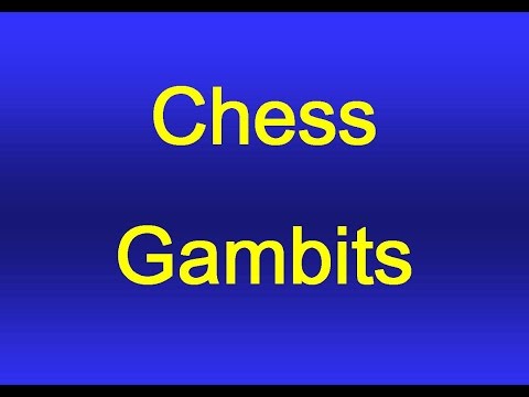 Chess Gambits