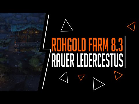 [WoW] Gold Guide 8.3 - Rauer Ledercestus
