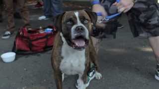 VilleSide Goonz Feat. JusClide - "The Game" (Promo Video)