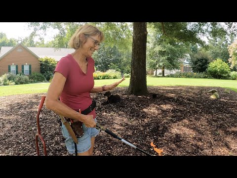 City of Greenwood Horticulture - Non-toxic Weed Control