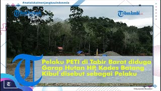 Download lagu Pelaku PETI di Tabir Barat diduga Garap Hutan HP, Kades Batang Kibul disebut sebagai Pelaku mp3