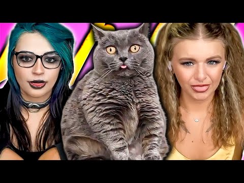 They're the same picture