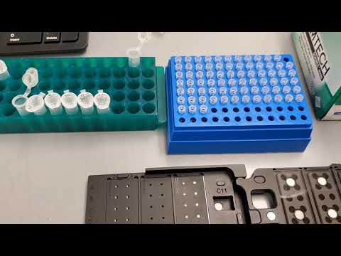 cDNA synthesis Tutorial