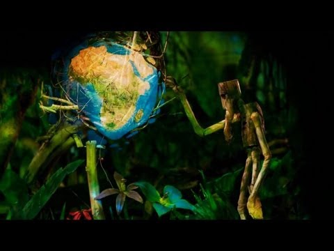 SOJA - Strength To Survive (Official Video)