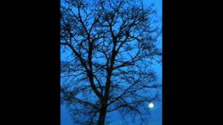 Komm und hilf mir durch die Einsamkeit der Nacht