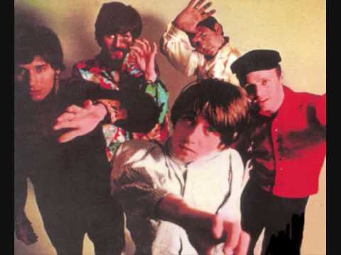 Elevated Observations - The Hollies