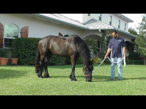 A Day in the Life of Tabitha ISF