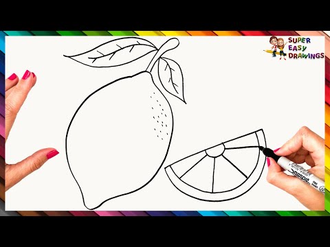 How To Draw A Lemon Step By Step 🍋 Lemon Drawing Easy