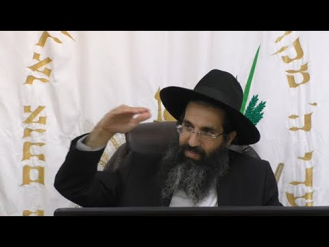 הלכות סוכה - ג' - סכך כשר 🌴 הרב שי עובד