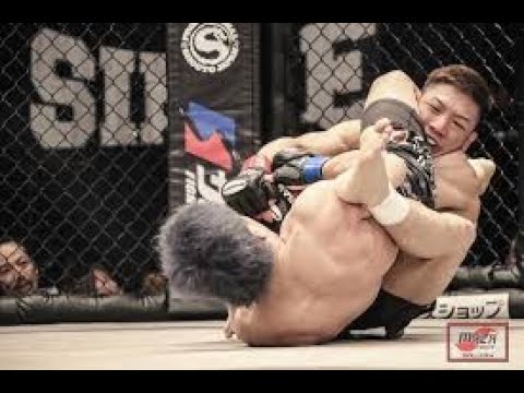 MMA & BOXING Awesome KO compilation