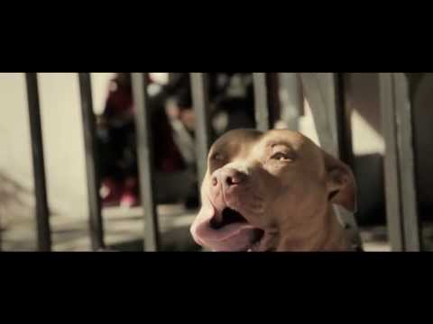 Young Breed - "Young Got The Juice" [Music Video] [Young Nigga Old Soul: Chapter 1]