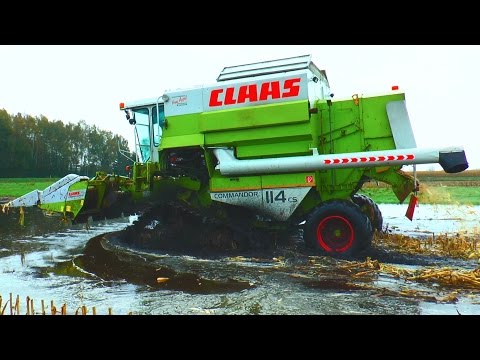 MAISDRESCHEN EXTREM - CLAAS COMMANDOR 114 CS im Donaumoos / Moor - Corn Harvest extreme