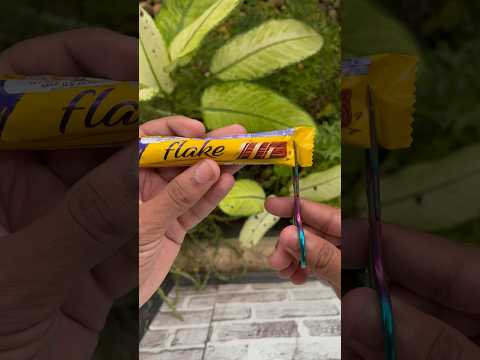 Cadbury Flake 🌈