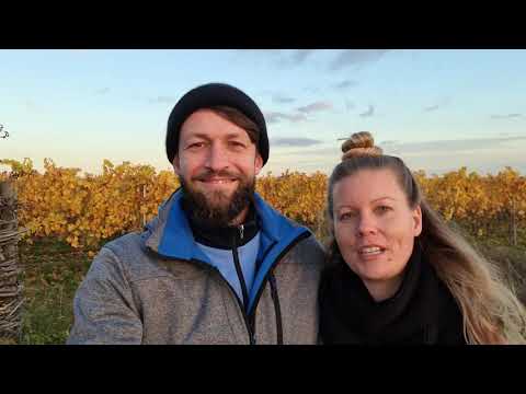 Farmers for Future: Hanneke und Christoph vom Demeter-Weingut Schönhals