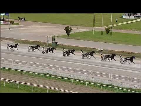 Napoli Trotto 18/11/2025 - 1ª prova di qualifica